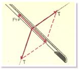 [Maple OLE 2.0 Object]